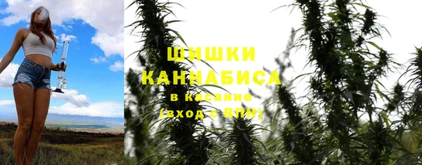 дживик Кинешма